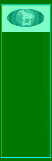 090807_whatnot_etagere_tchotchkes_knick_knacks001031.gif